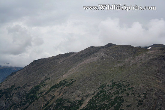 Click Picture to send as an  E-PostCard 61k 550x367